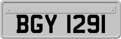 BGY1291