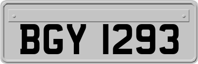 BGY1293