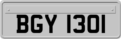 BGY1301