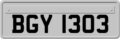 BGY1303