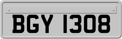BGY1308