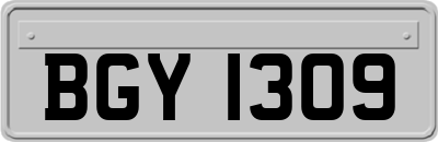BGY1309