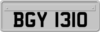 BGY1310