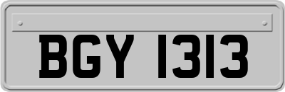 BGY1313