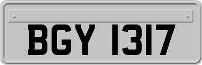 BGY1317