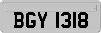 BGY1318