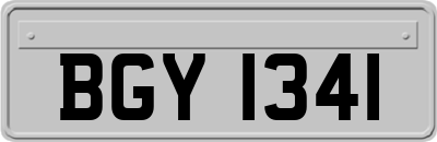 BGY1341