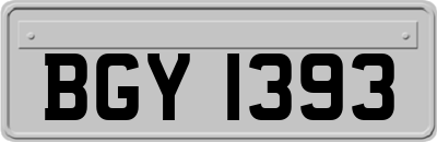 BGY1393