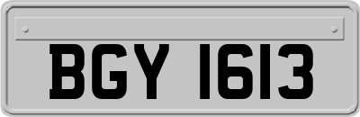 BGY1613