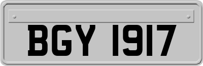 BGY1917