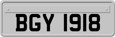 BGY1918