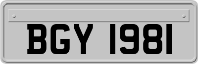 BGY1981