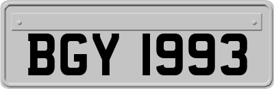 BGY1993