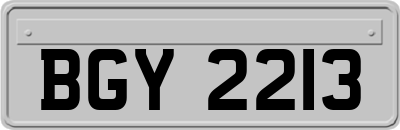 BGY2213