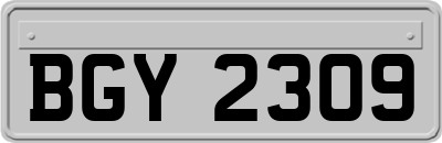 BGY2309