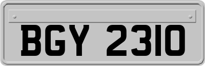 BGY2310