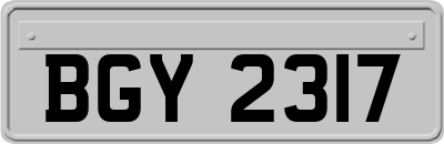 BGY2317