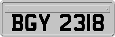 BGY2318