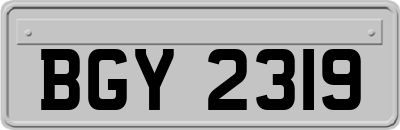 BGY2319