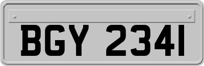 BGY2341