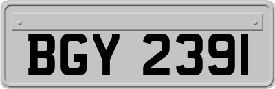 BGY2391
