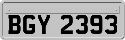 BGY2393