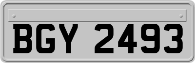 BGY2493