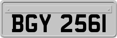 BGY2561