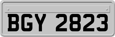BGY2823
