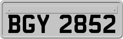 BGY2852