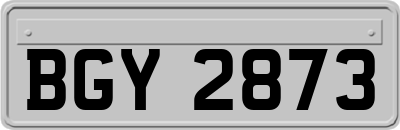 BGY2873