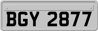 BGY2877