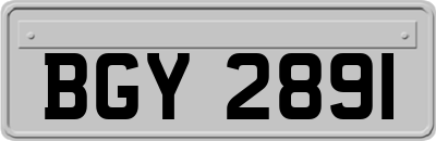 BGY2891