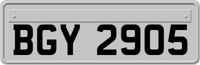 BGY2905