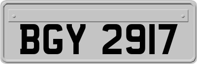 BGY2917