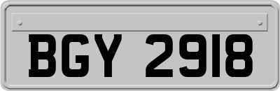 BGY2918
