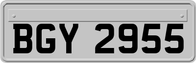 BGY2955