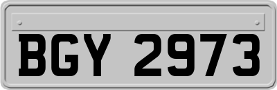 BGY2973