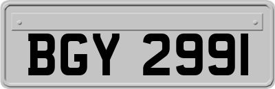 BGY2991
