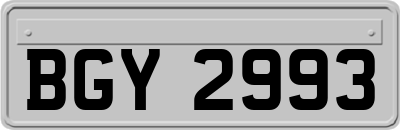 BGY2993