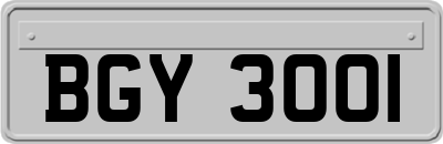 BGY3001