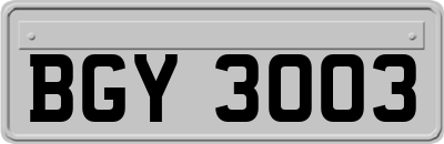 BGY3003