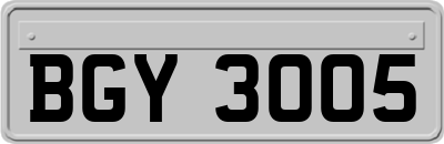 BGY3005