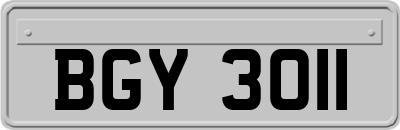 BGY3011