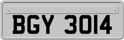 BGY3014
