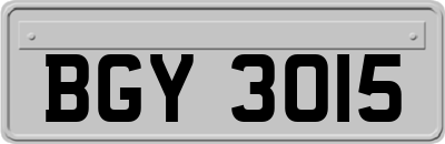 BGY3015