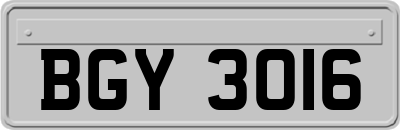 BGY3016