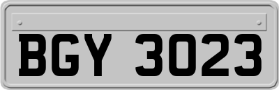 BGY3023