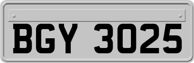 BGY3025