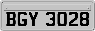 BGY3028